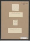 Coscinodiscus sp. (de-Toni-Nr.: Genus 202) Zeichnungen Sammlung Grunow Nr. 8958 (NHMW-BOT-W0378646)